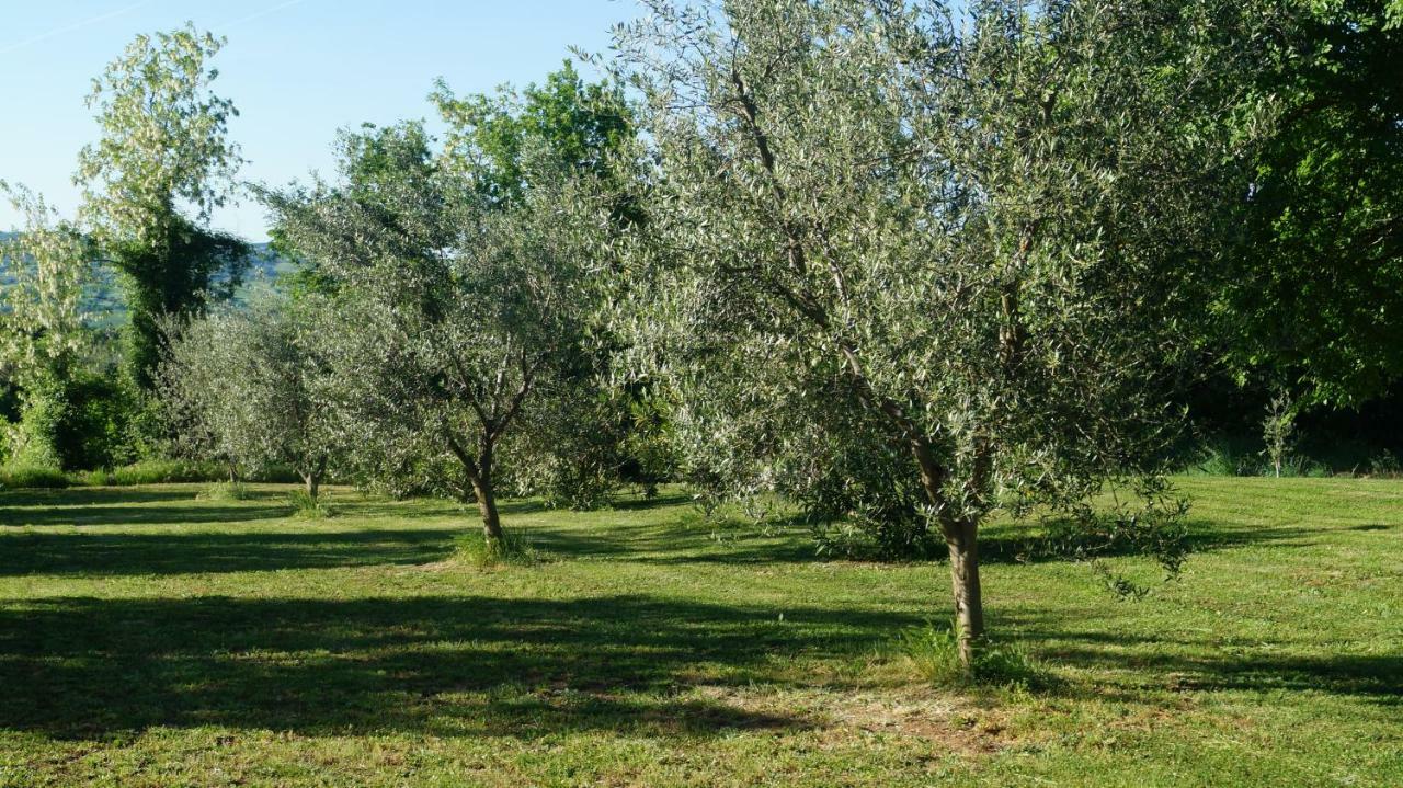 Agriturismo Poggio San Pietro ปีติญาโน ภายนอก รูปภาพ
